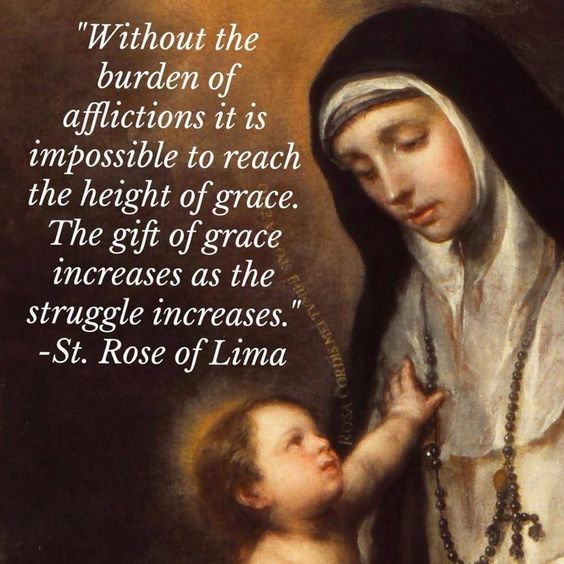 40efb0c280067ac61a01946bdd0c8da4