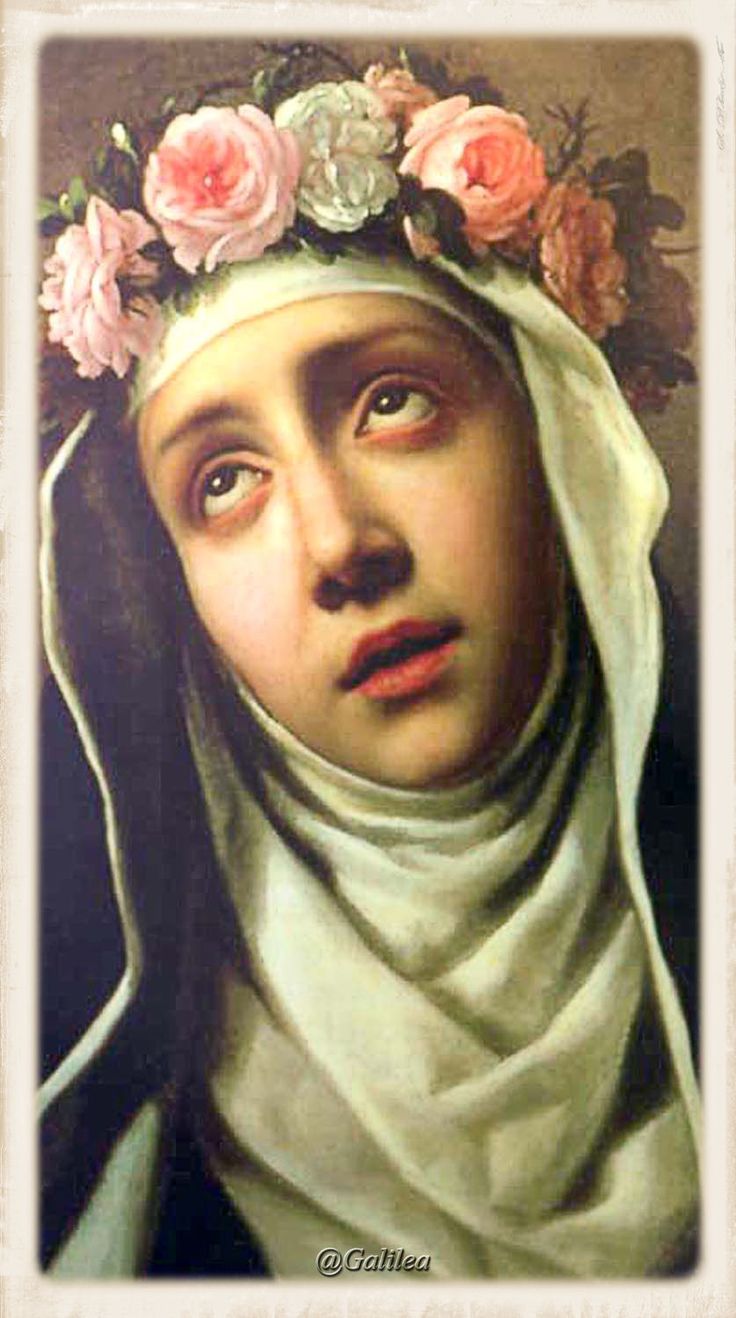 b0bf3bc0cee2d2a20101f06df7490d81