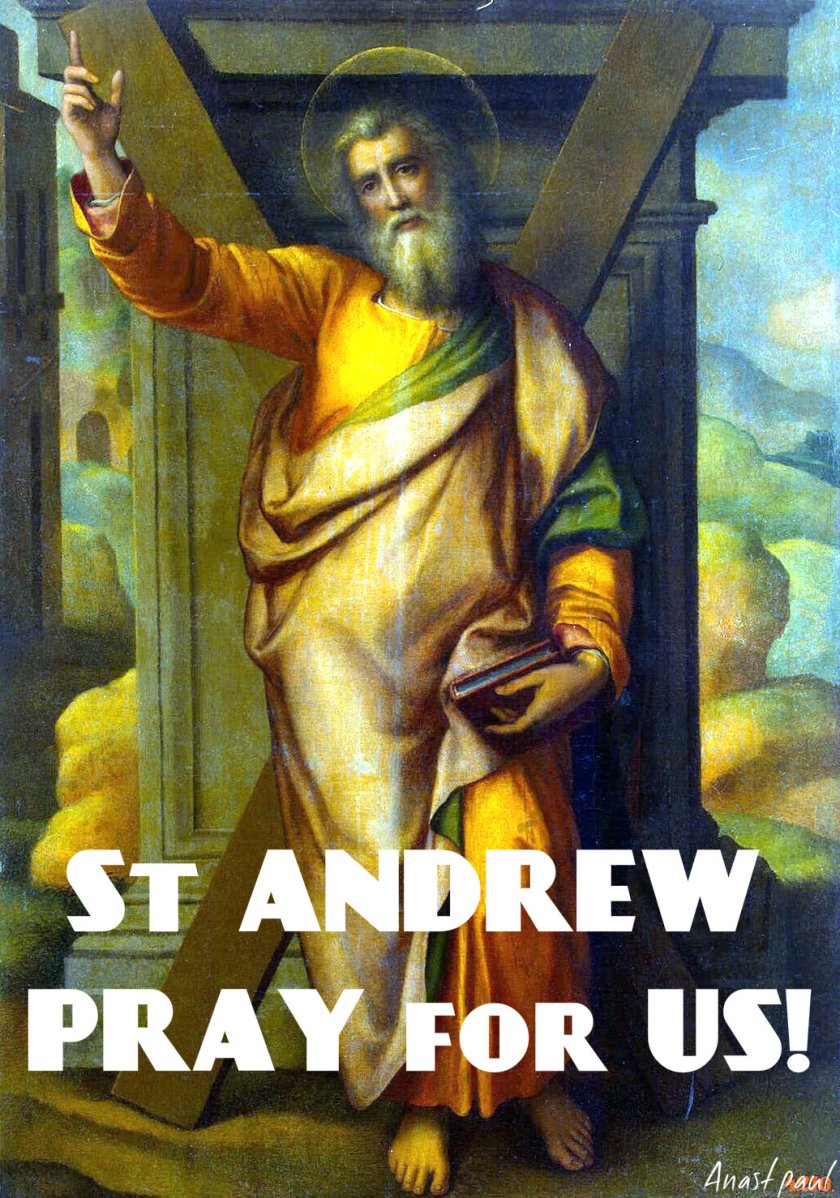 barroso_miguel-zzz-st_andrew