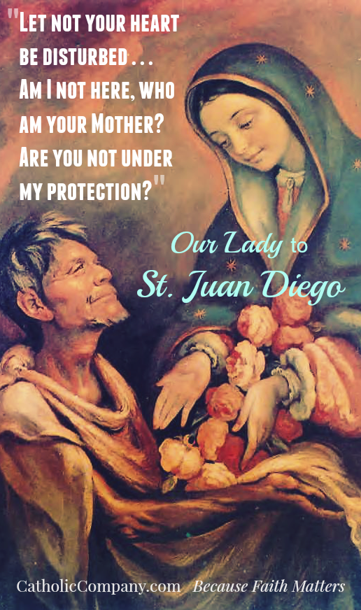 3eea6c14a25845a48725f9a872afa06e