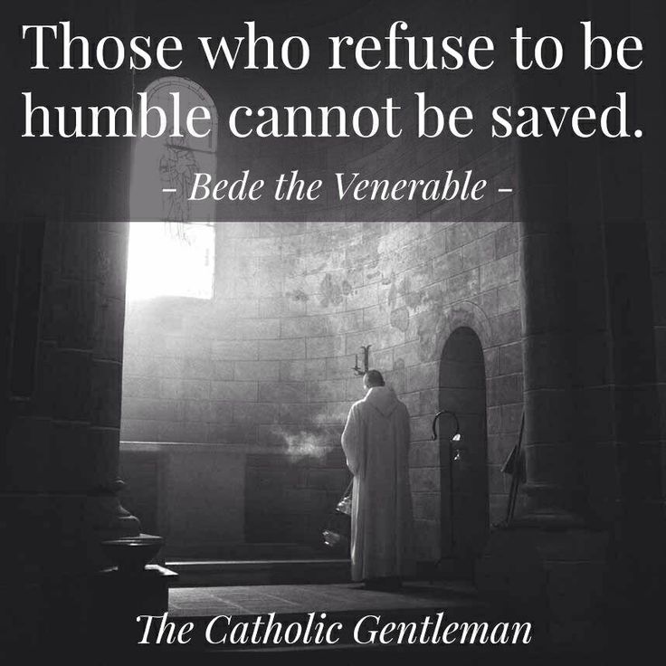 590edb63a2f32dbe565b57613753001a