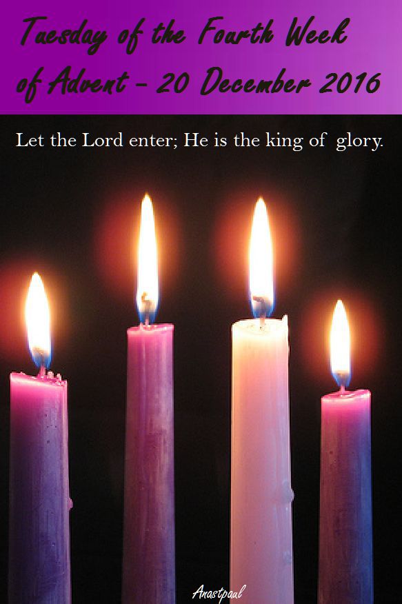 tues-of-the-4th-week