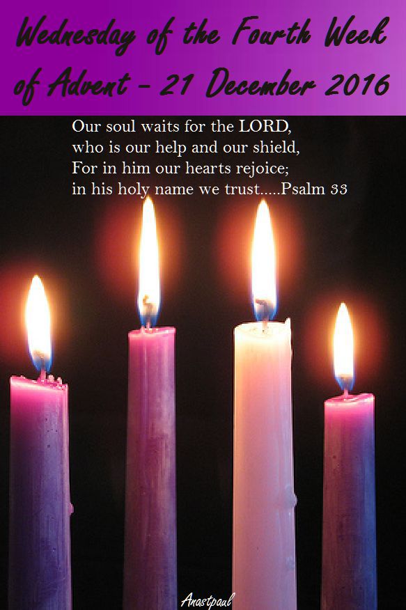 wed-of-the-fourth-week