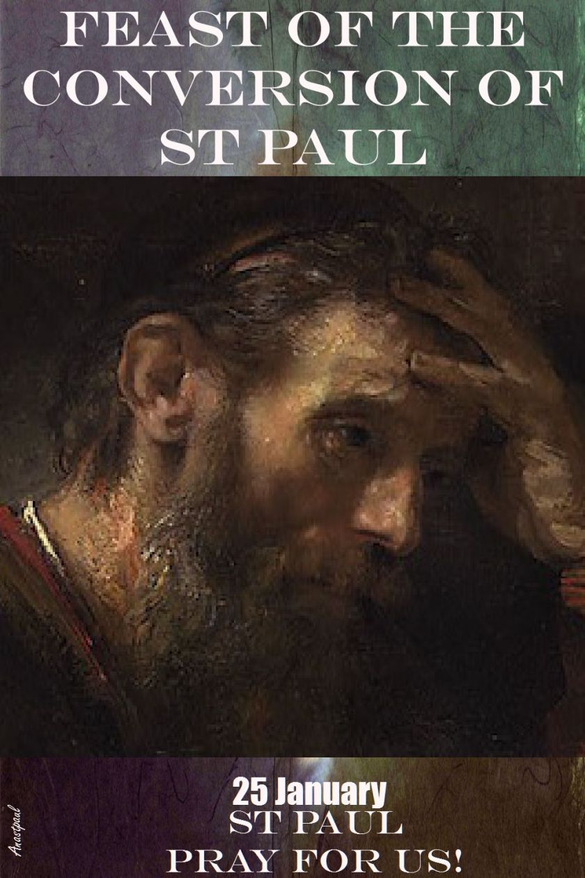 confersion-of-st-paul