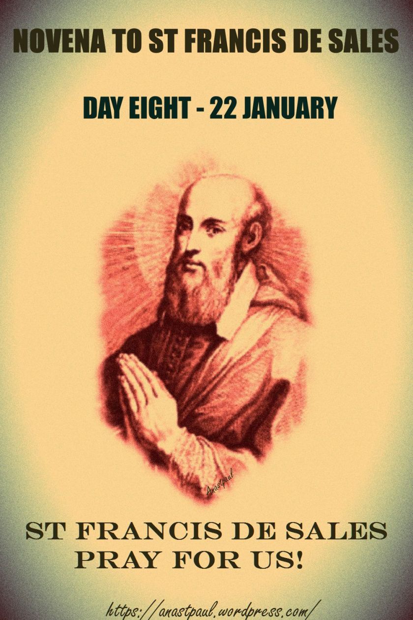 day-8-novena-st-francisdesales