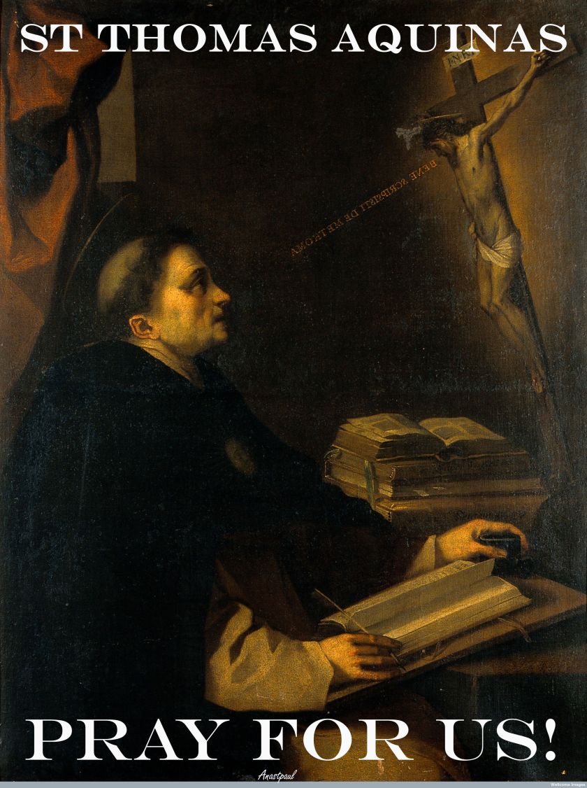 st-thomas-aquinas-pray-for-us