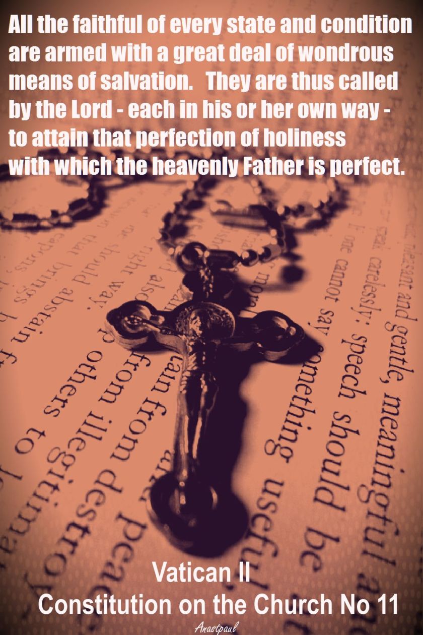 vatican-ii-constitution-on-the-church-no-11