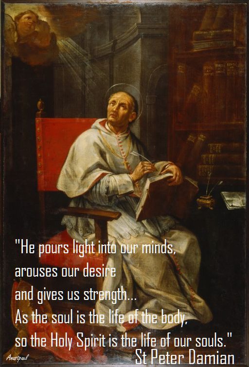 he-pours-light-into-our-minds-st-peter-damian