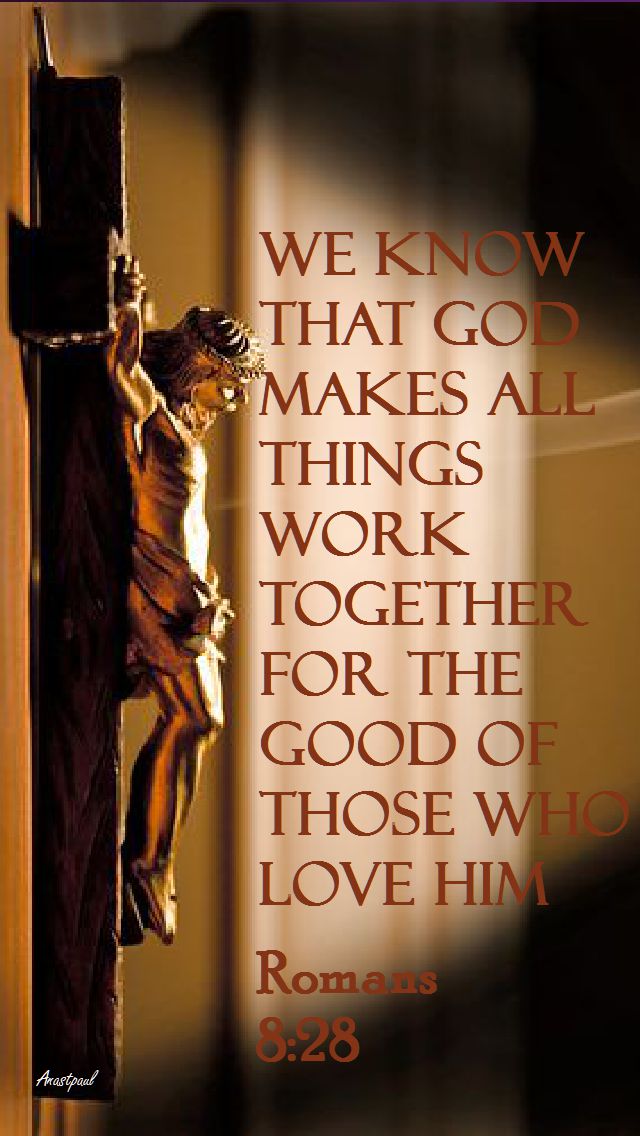 romans-8-28
