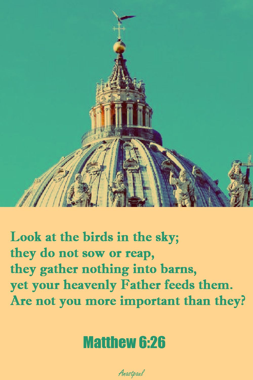MATTHEW 6-26