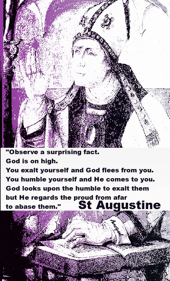 OBSERVE A SURPRISING FACT-STAUGUSTINE