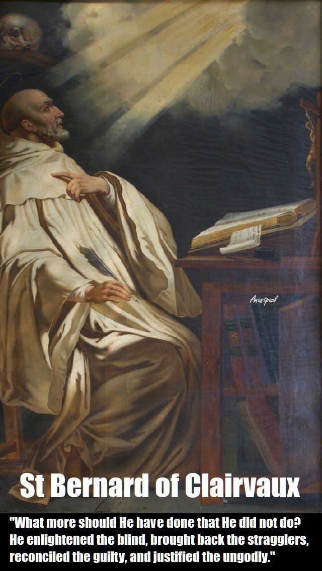 what-more-should-he-have-done-stbernard