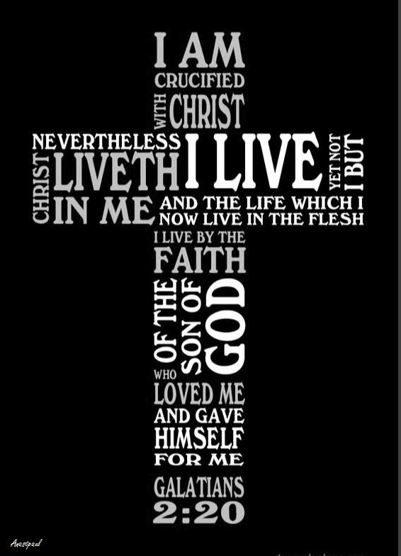 my version gal 2 20 snip