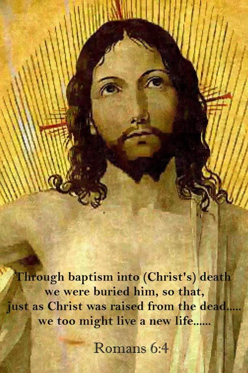 ROMANS 6-4