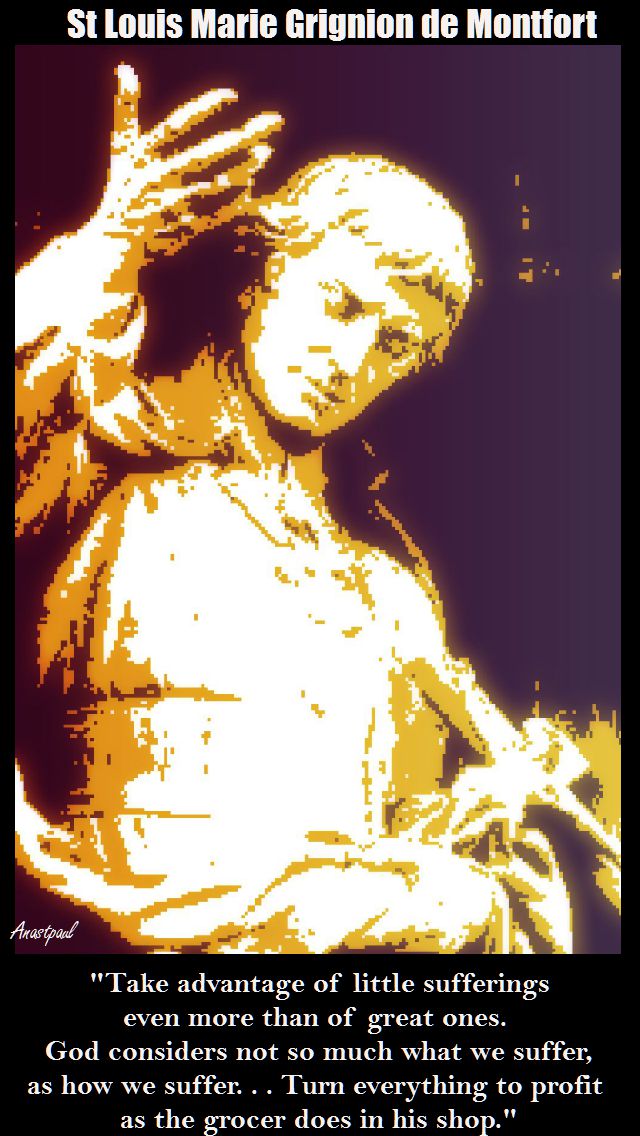 take advantage of little sufferings - st l de montfort