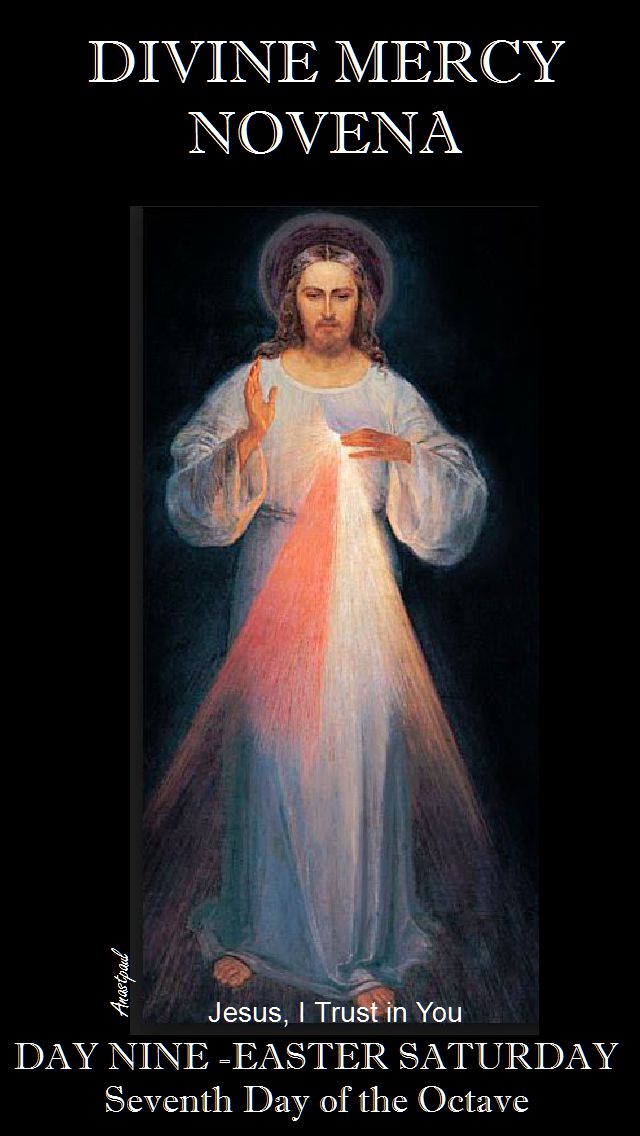 VILNIUS IMAGE - DAY NINE DM NOVENA