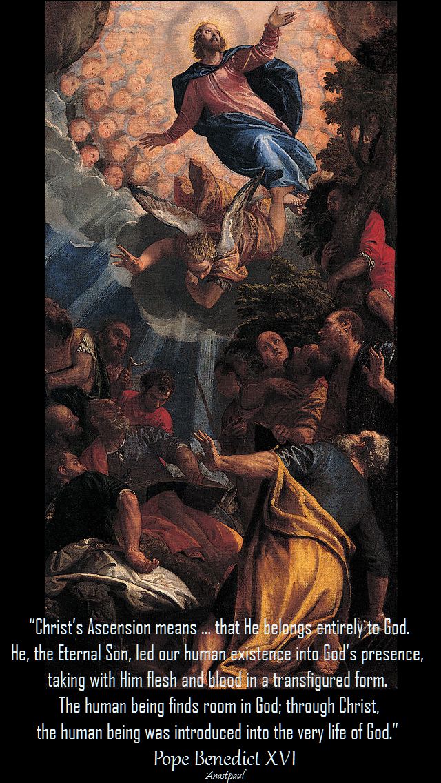 christ's scension means...pope benedict