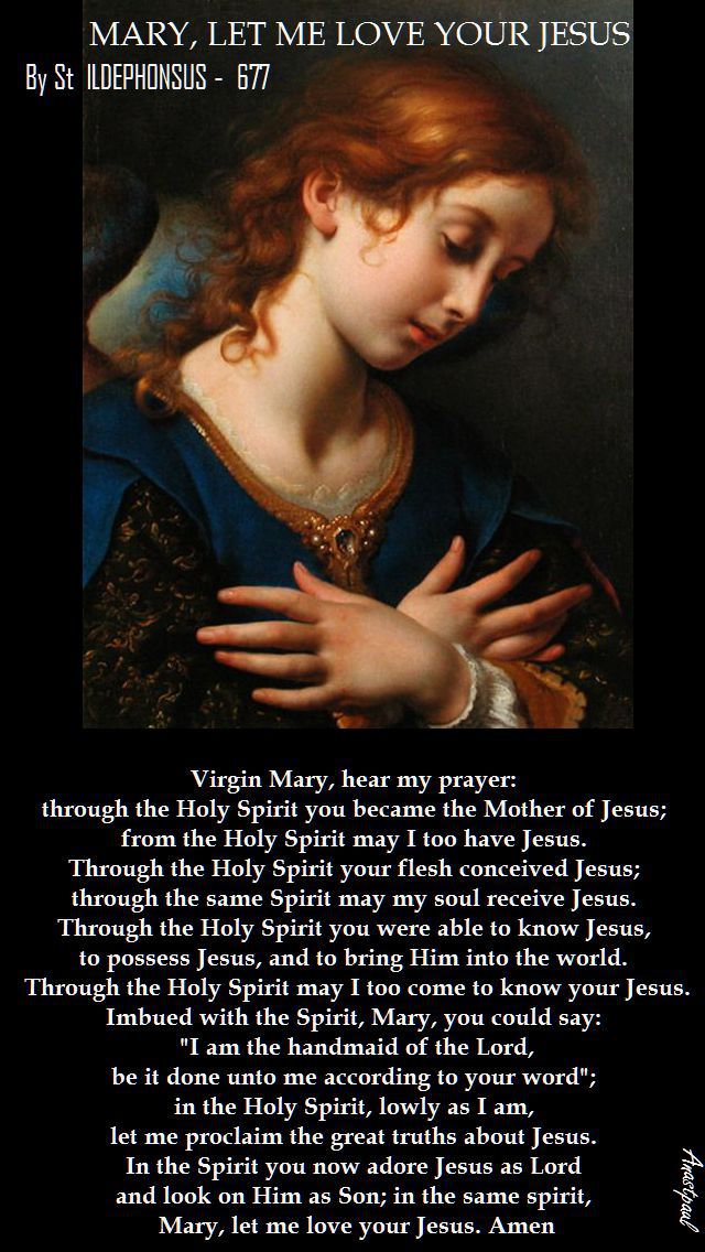 MARY LET ME LOVE YOUR JESUS - ST ILDEPHONSUS