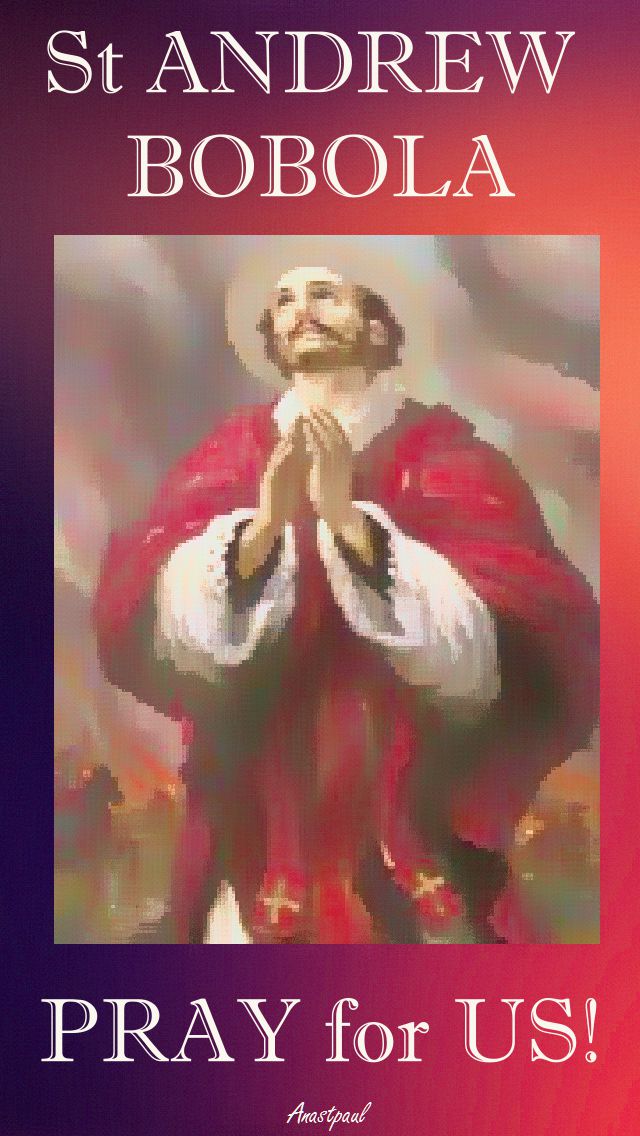 st andrew bobola pray for us