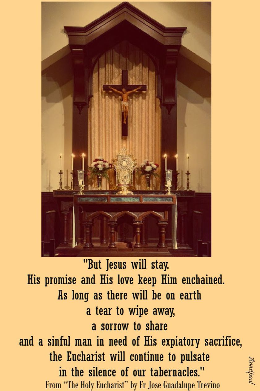 but jesus will stay - fr jose guadalupe trevino - the holy eucharist