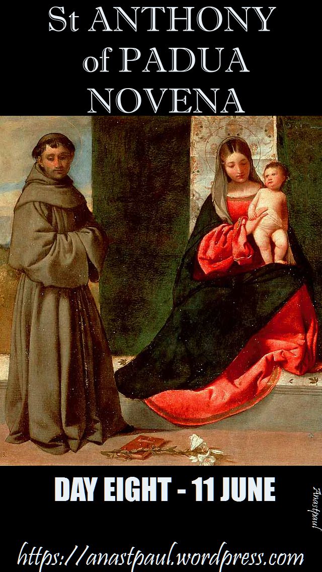 day eight-novena st anthony