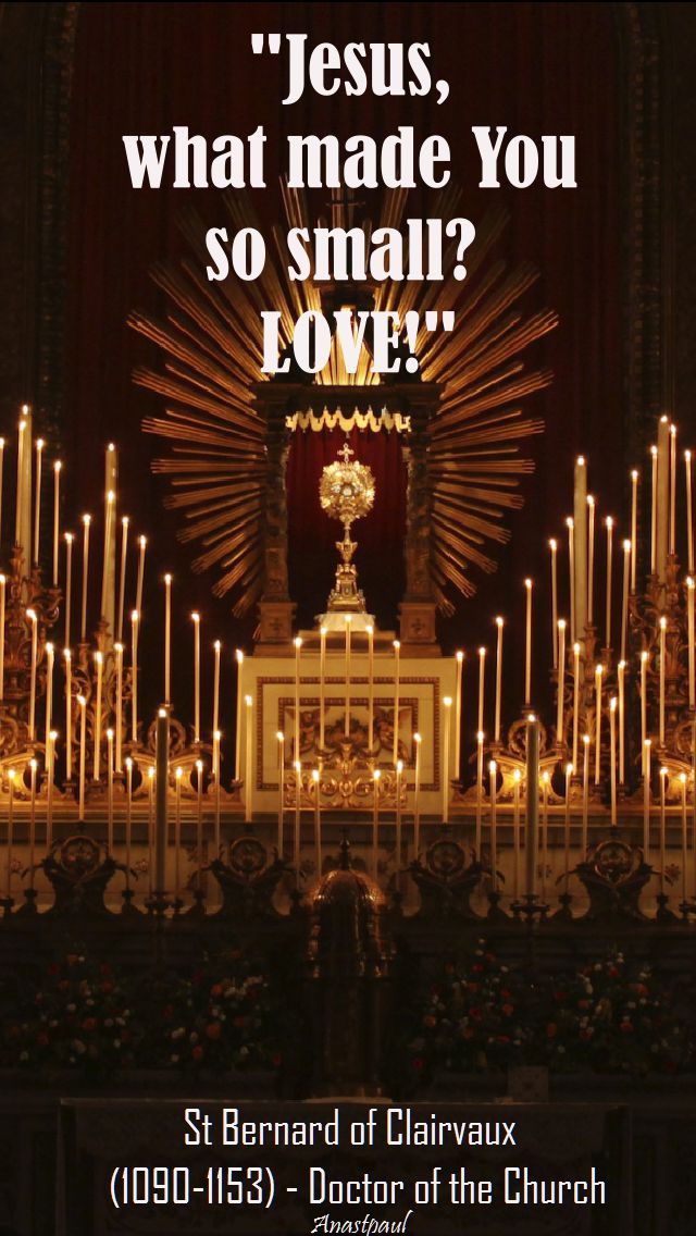 jesus what made you so small - LOVE - st bernard