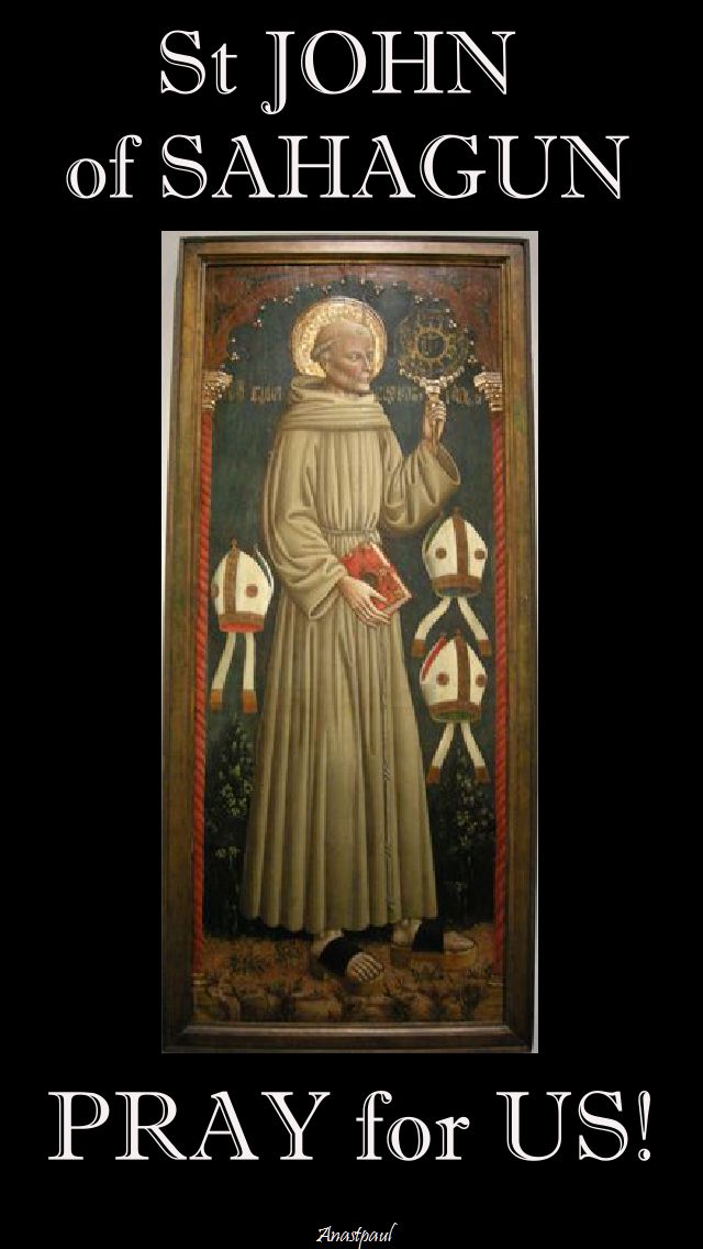 ST JOHN OF SAHAGUN PRAY FOR US