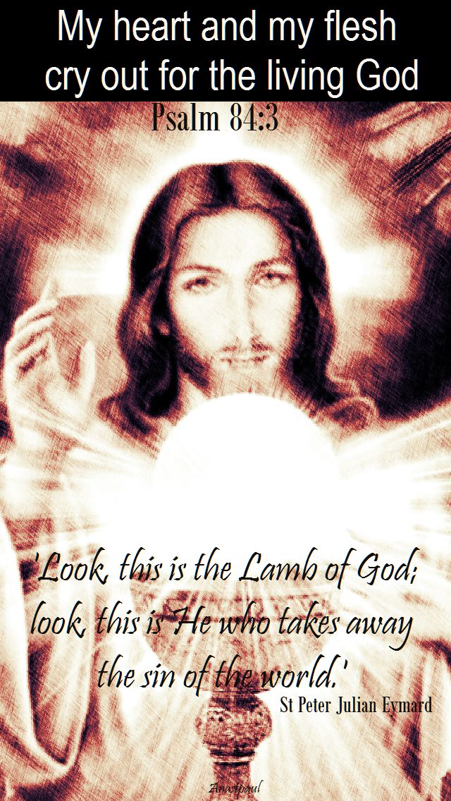PSALM 84 3 - look this is the lamp of god - st p j eymard