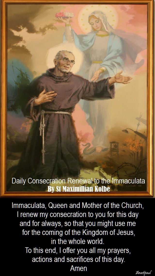 daily consecration renewal to the immaculata by st maximillian kolbe