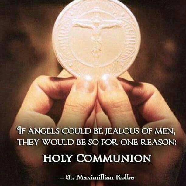 if angels could be jealous of men - st maximillian kolbe