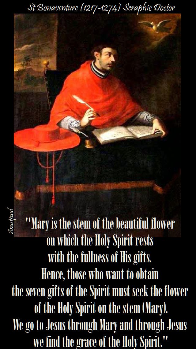 mary is the stem - st bonaventure