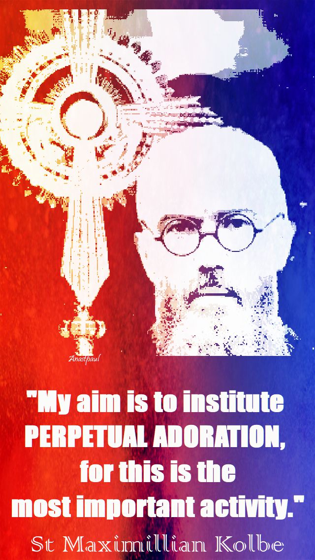 my aim is to institute - st maximillian kolbe
