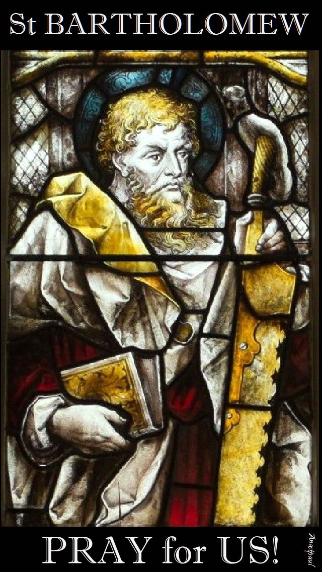 st bartholomew pray for us 2