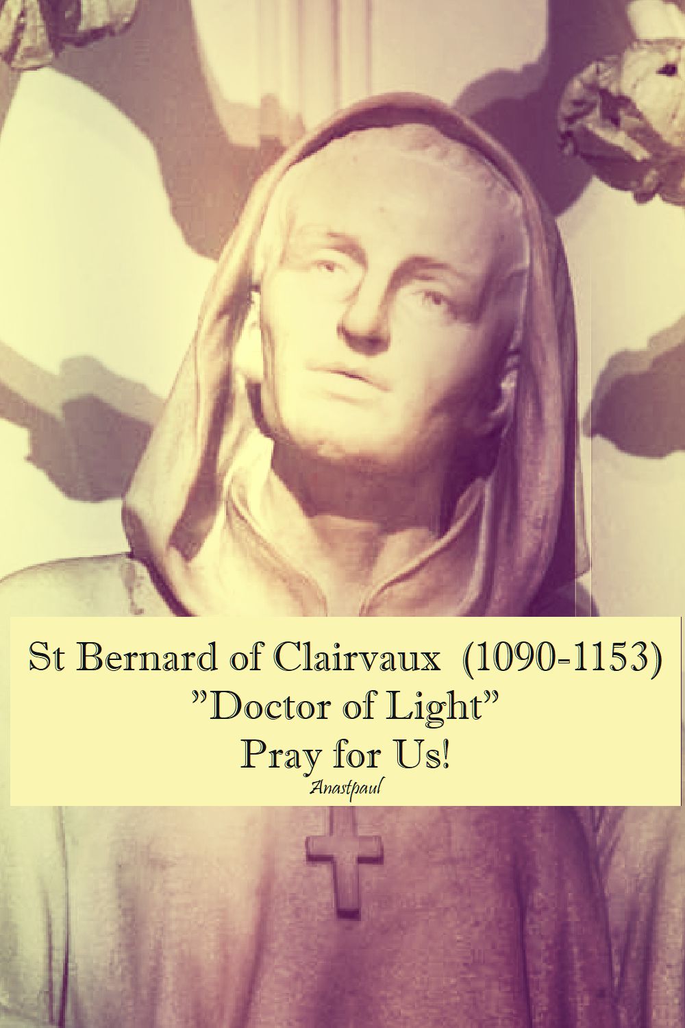 st bernard - doctor of light