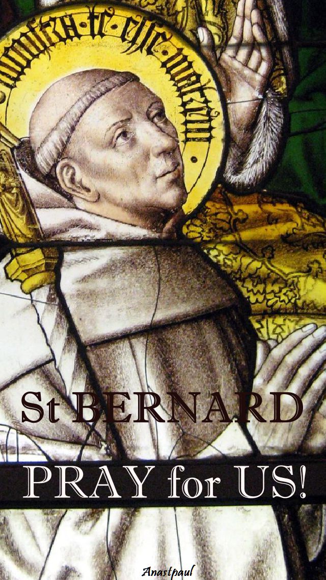 st bernard pray for us