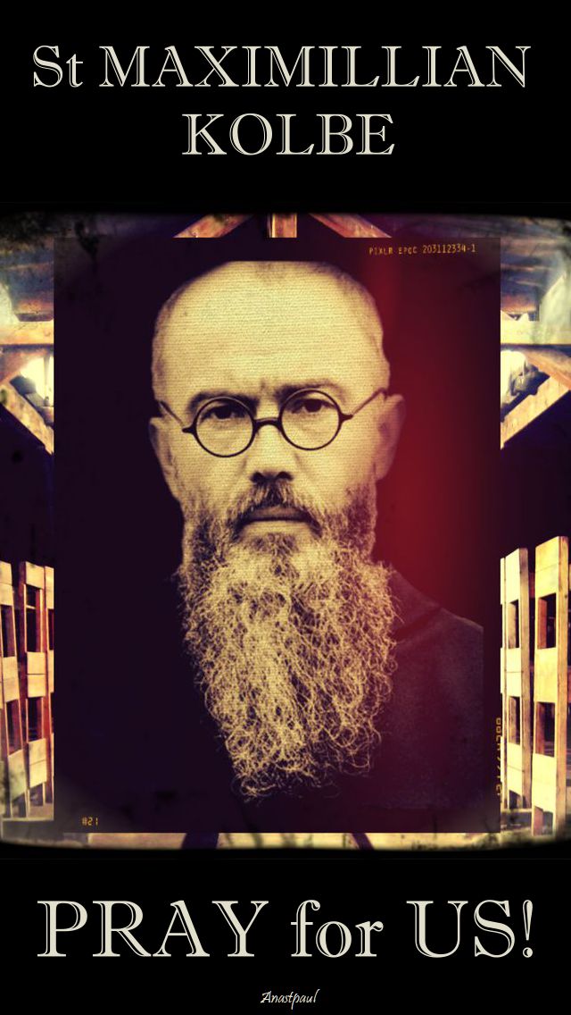 st maximillian - pray for us