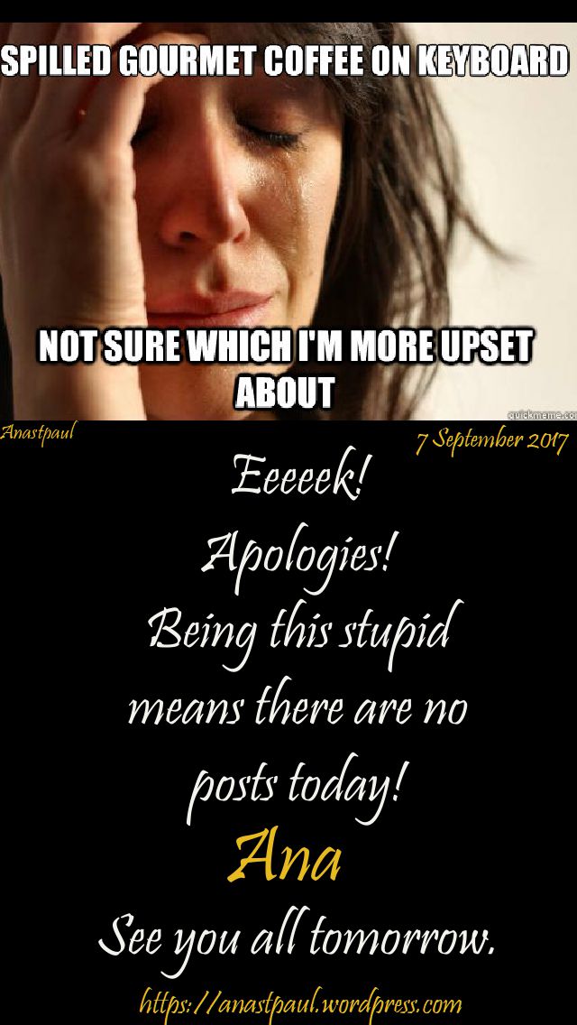 apologies! 7 september 2017