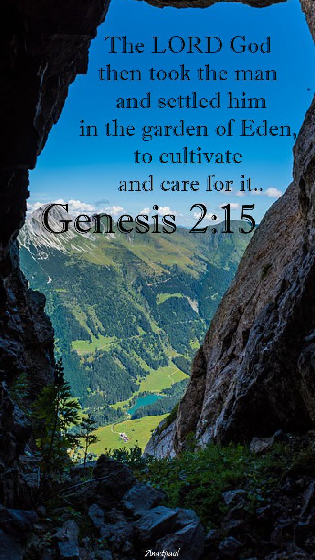 genesis 2 15