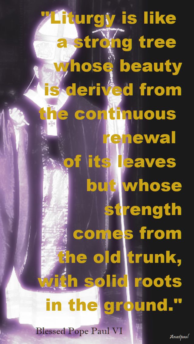 liturgy is like a strong tree - bl pope paul VI