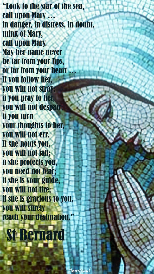 look to the star of the sea - st bernard