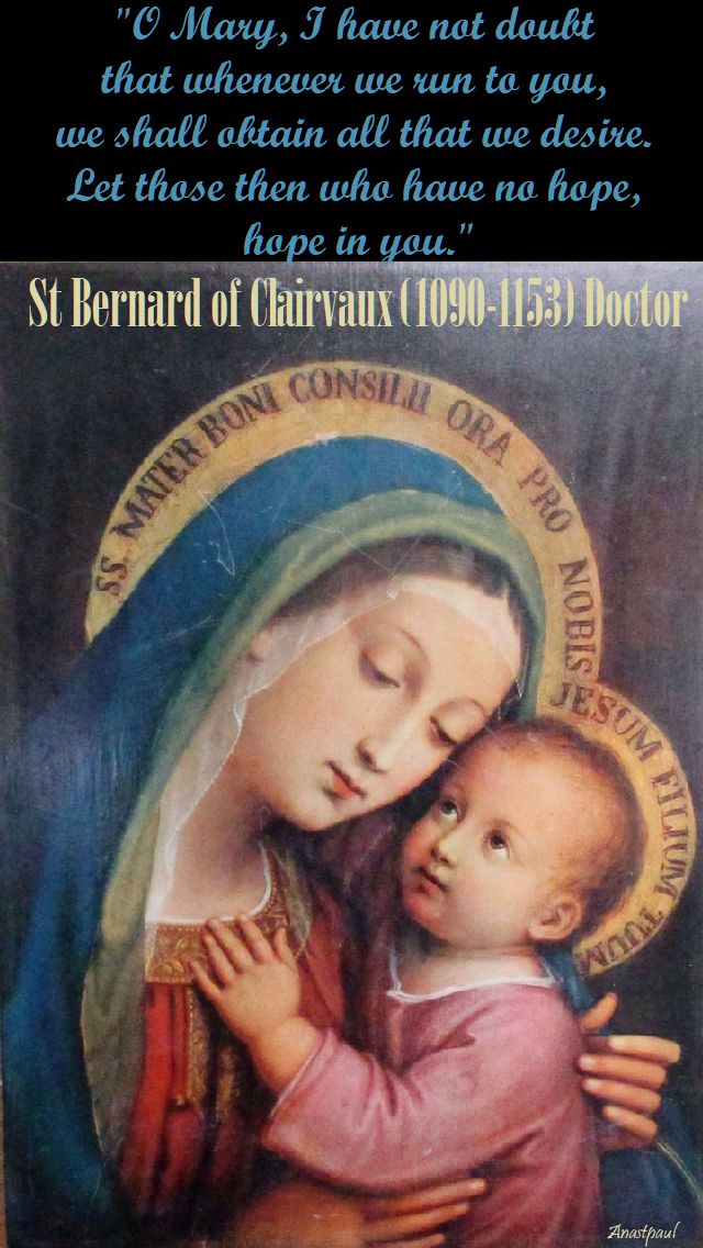 o mary i have not doubt - st bernard