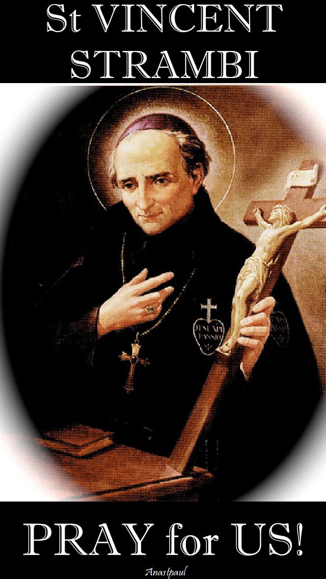 st vincent strambi pray for us