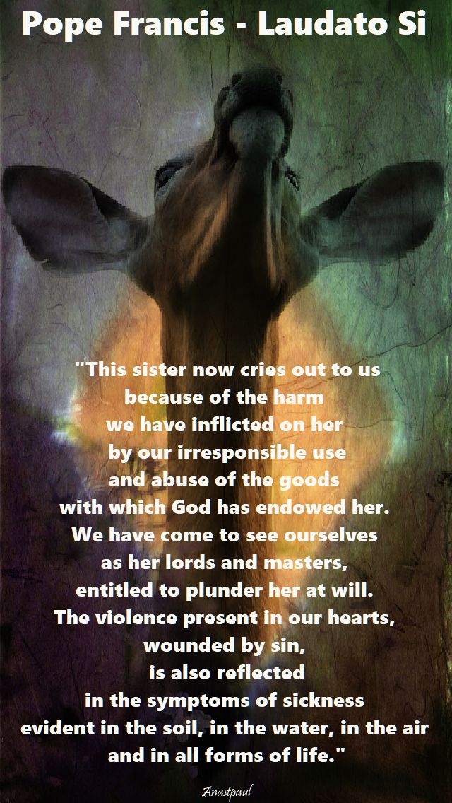 this sister now cries out to us - pope francis laudato si