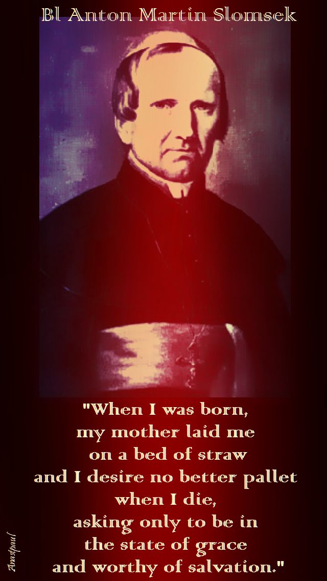 when i was born - bl anton martin slomsek - 24 sept 2017