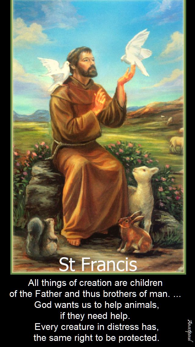 all things of creation - st francis - 4 oct 2017