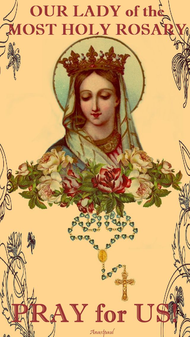 our lady of the rosary pray for us 2017