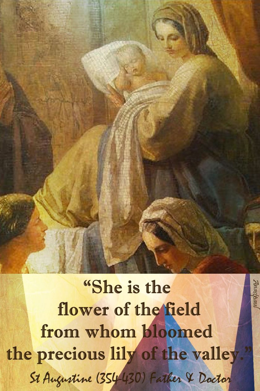 she is the flower of the field - st augustine