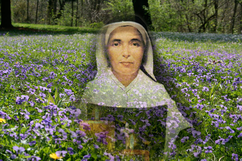 St. Mother Theodore Guerin