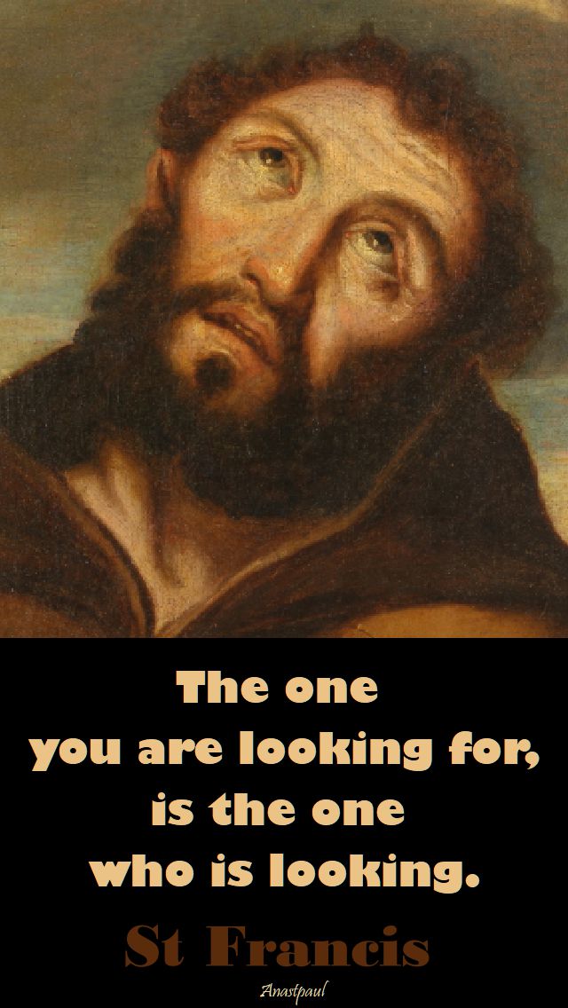 the one you are looking for - st francis - 4 oct 2017