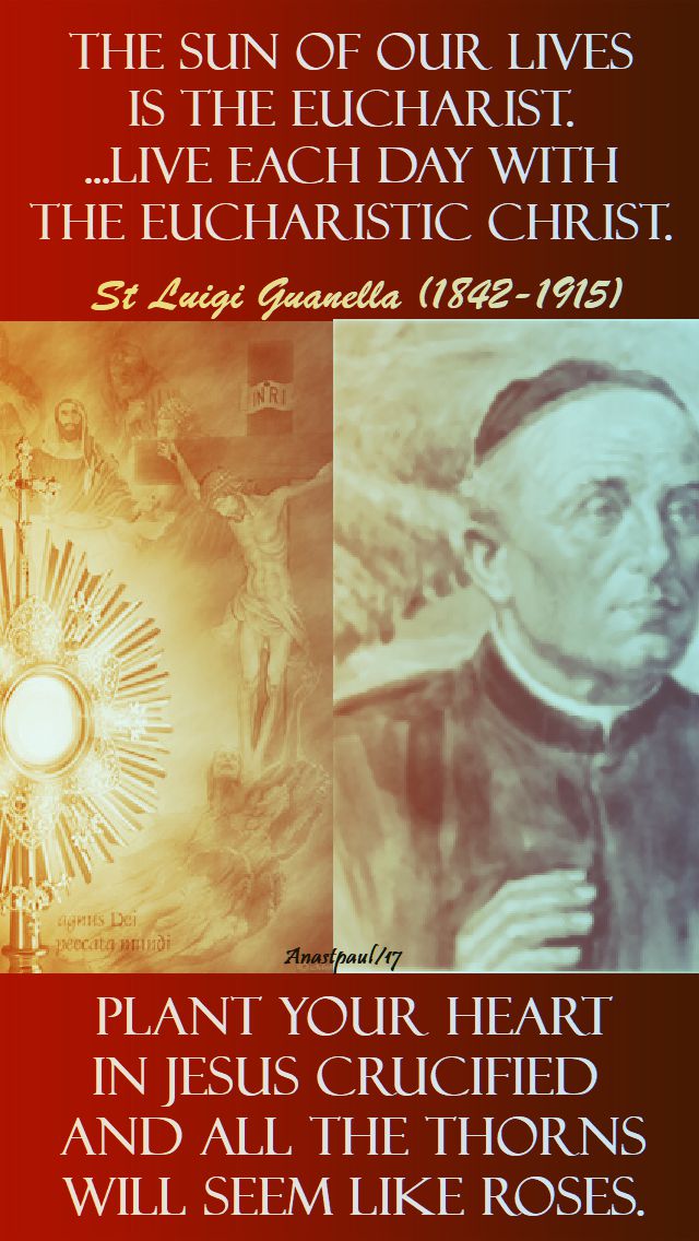 the sun of our lives - st luigi guanella - 24 oct 2017